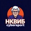 NKVIB