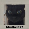 MurKa3577