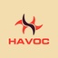 Team HAVOC