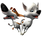 squirrel&arrow