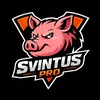 Svintus Pro