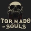 Tornado Of Soul