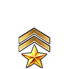 Veteran